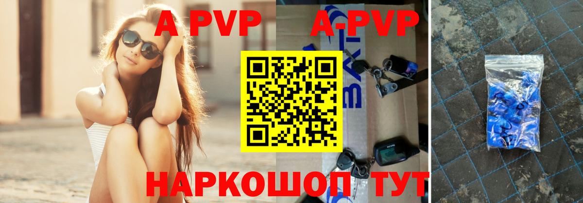 А ПВП СК КРИС Сальск