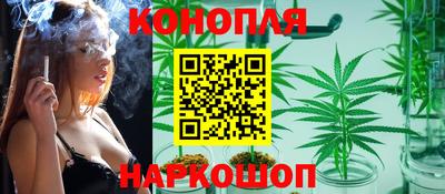 ALPHA PVP Партизанск