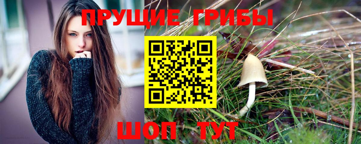 Галлюциногенные грибы Cubensis  Галлюциногенные грибы мицелий  Сальск  Вход с VPN 